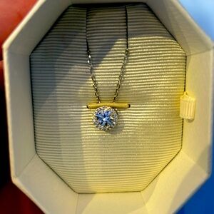 Rhodium plated necklace